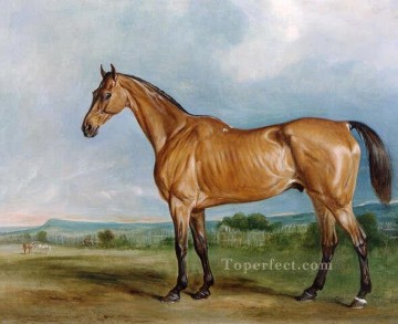 馬 Painting - am106D動物馬
